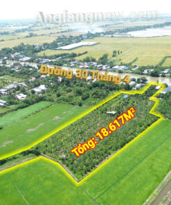 DJI 0599 Recovered
