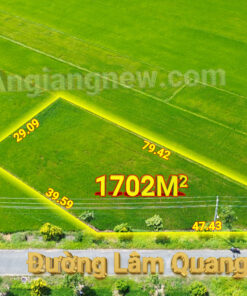 DJI 0837