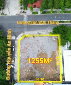 DJI 0232