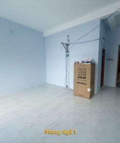 IMG 7357